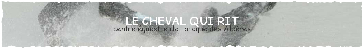 LE CHEVAL QUI RIT